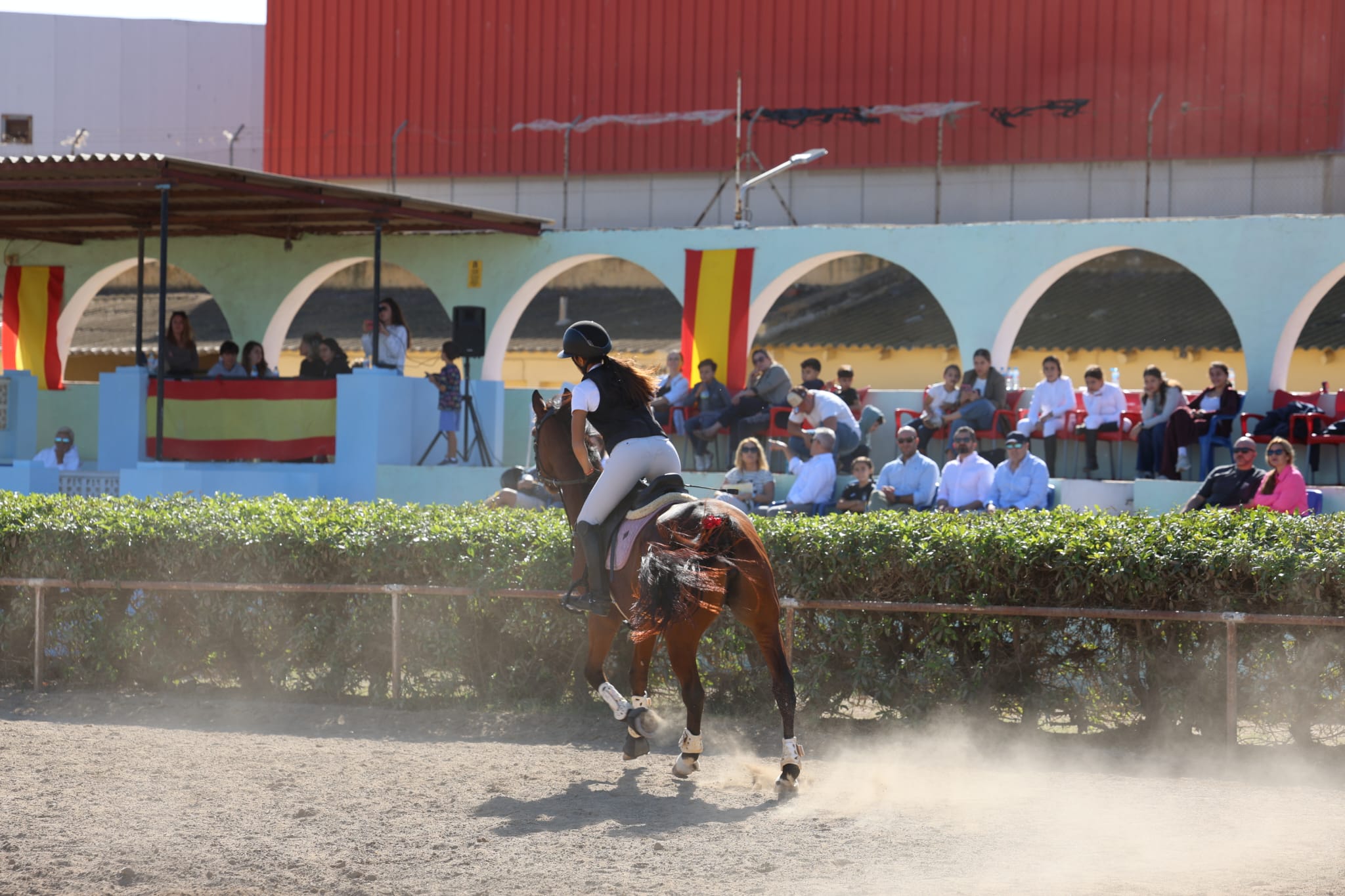 Iniciación a la equitación