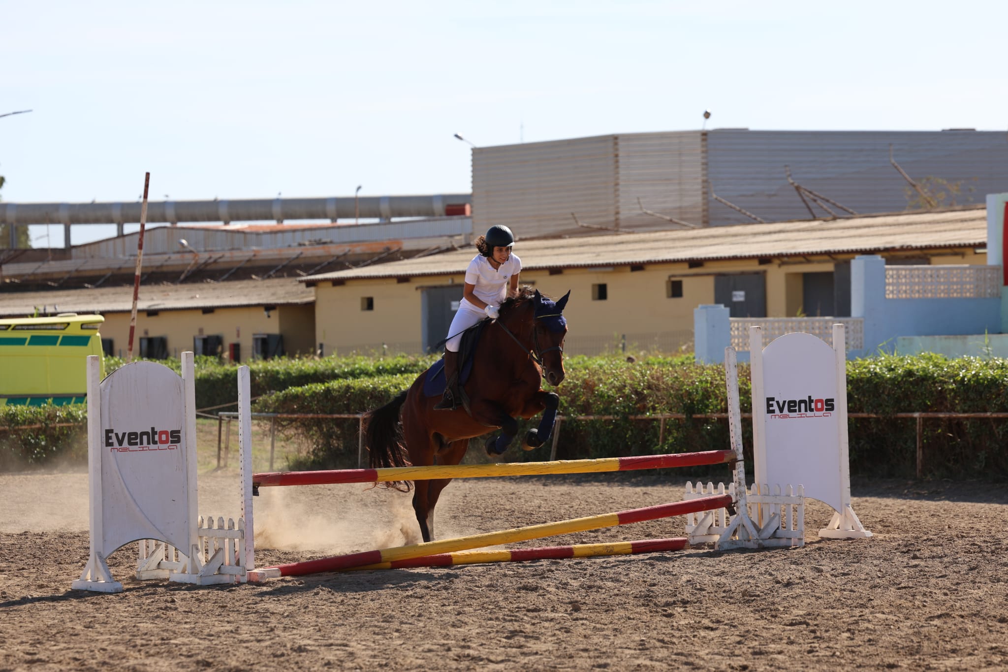 Entrenamiento ecuestre