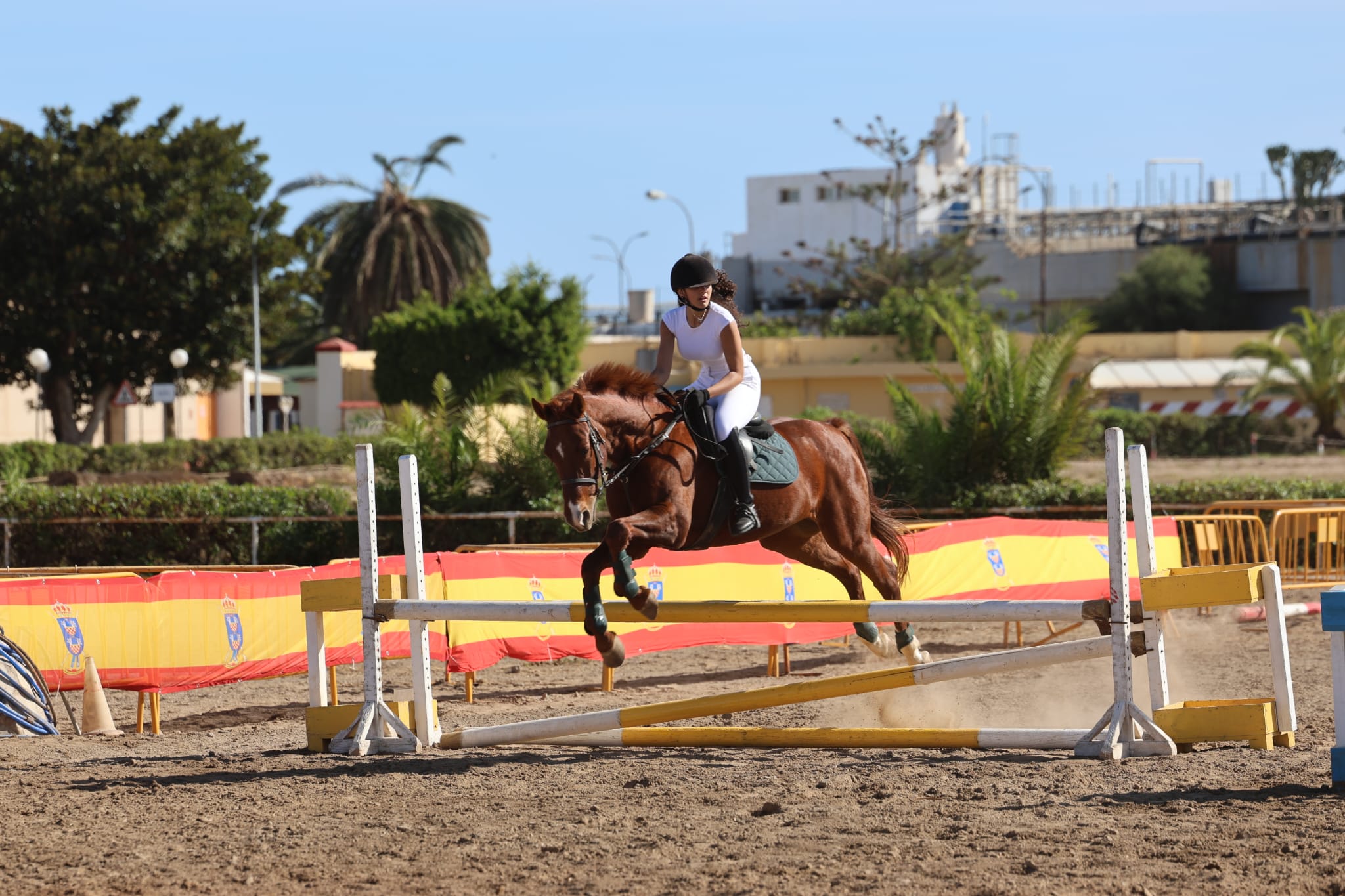 Práctica de equitación